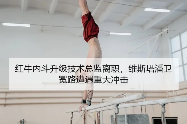 红牛内斗升级技术总监离职，维斯塔潘卫冕路遭遇重大冲击